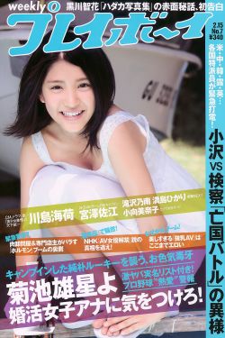 侠盗猎车手狂野之城